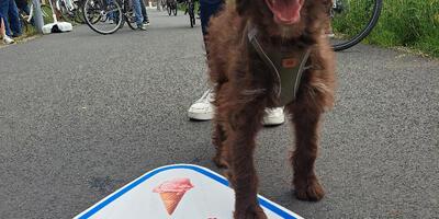 Wereldfietsdag 03.06.2025
