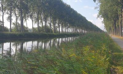 Provincie stelt aannemer aan voor onderhoudswerken fietssnelweg Damse Vaart